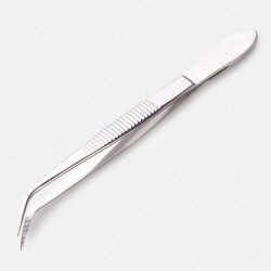 Forceps - Dissecting use, inclined  tip