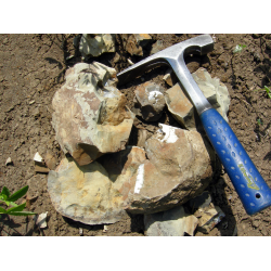 Geological hammer (chisel edge)