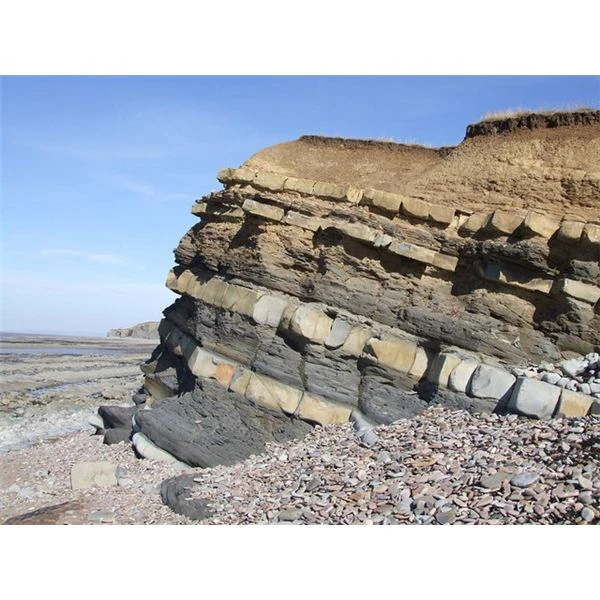 Toprak Penetrometreleri