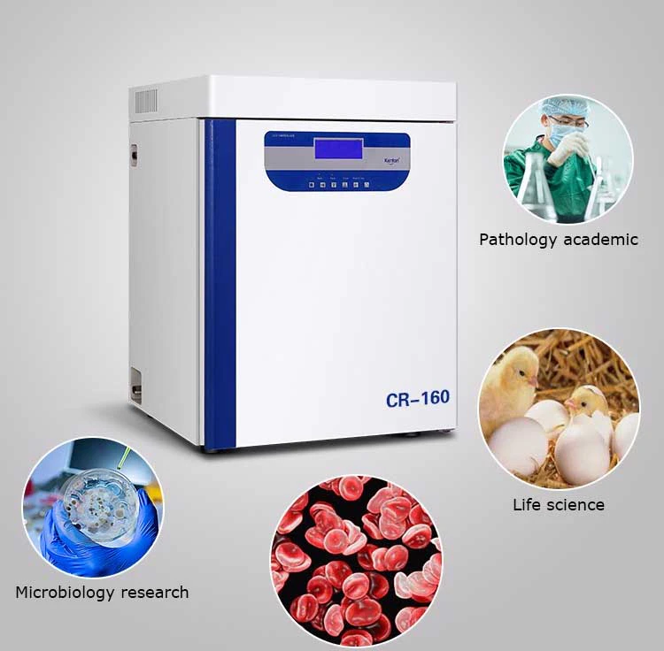 إنكوباتور CO2 المسيطر عليه - 160 لتر